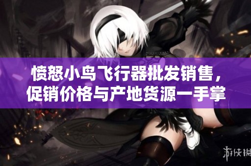 愤怒小鸟飞行器批发销售，促销价格与产地货源一手掌握