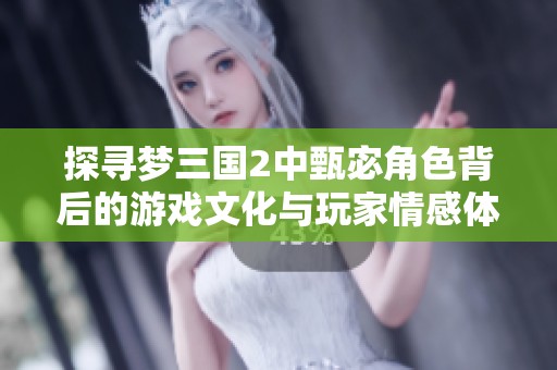 探寻梦三国2中甄宓角色背后的游戏文化与玩家情感体验