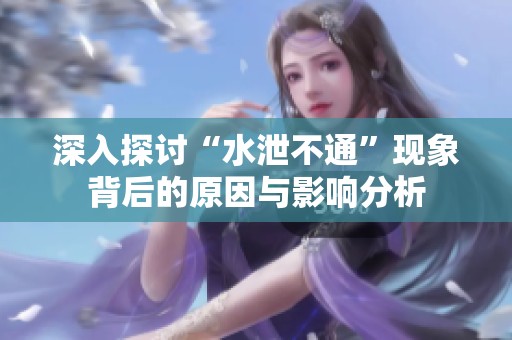 深入探讨“水泄不通”现象背后的原因与影响分析