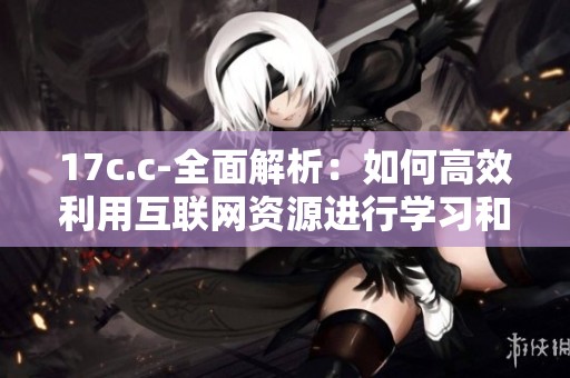 17c.c-全面解析：如何高效利用互联网资源进行学习和发展