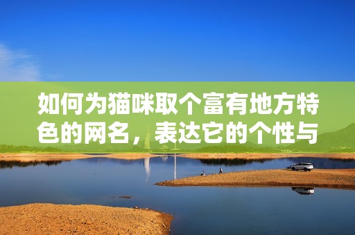 如何为猫咪取个富有地方特色的网名，表达它的个性与魅力
