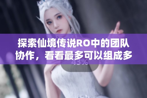 探索仙境传说RO中的团队协作，看看最多可以组成多少人的冒险小队