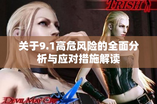 关于9.1高危风险的全面分析与应对措施解读