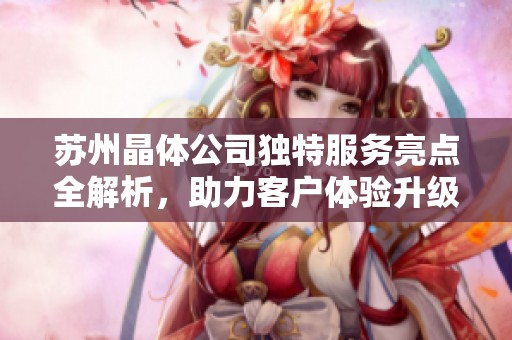 苏州晶体公司独特服务亮点全解析，助力客户体验升级