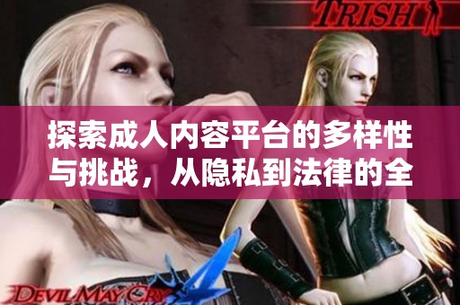 探索成人内容平台的多样性与挑战，从隐私到法律的全面解析