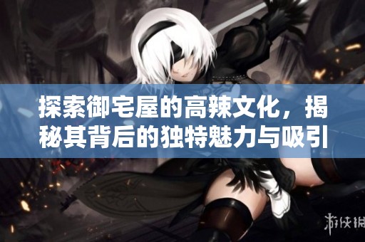 探索御宅屋的高辣文化，揭秘其背后的独特魅力与吸引力