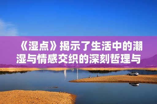 《湿点》揭示了生活中的潮湿与情感交织的深刻哲理与细腻观察