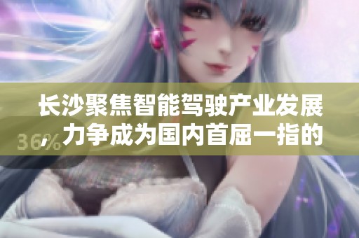 长沙聚焦智能驾驶产业发展，力争成为国内首屈一指的智能驾驶城市