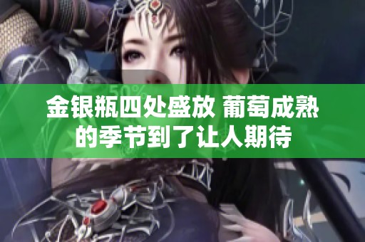 金银瓶四处盛放 葡萄成熟的季节到了让人期待