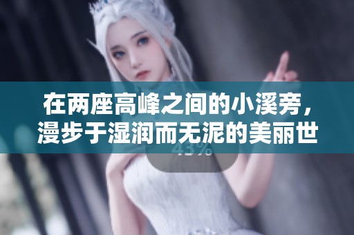 在两座高峰之间的小溪旁，漫步于湿润而无泥的美丽世界