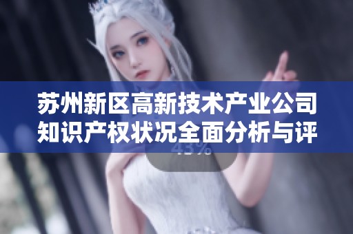 苏州新区高新技术产业公司知识产权状况全面分析与评估报告