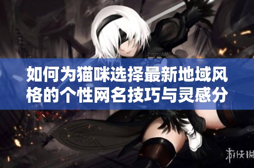 如何为猫咪选择最新地域风格的个性网名技巧与灵感分享