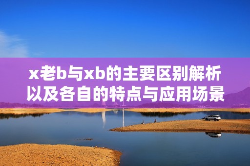 x老b与xb的主要区别解析以及各自的特点与应用场景探讨