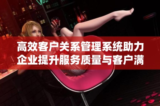 高效客户关系管理系统助力企业提升服务质量与客户满意度