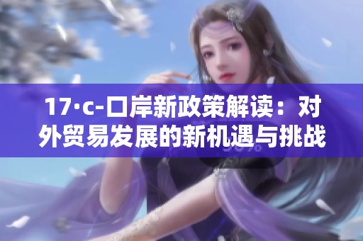 17·c-口岸新政策解读：对外贸易发展的新机遇与挑战分析