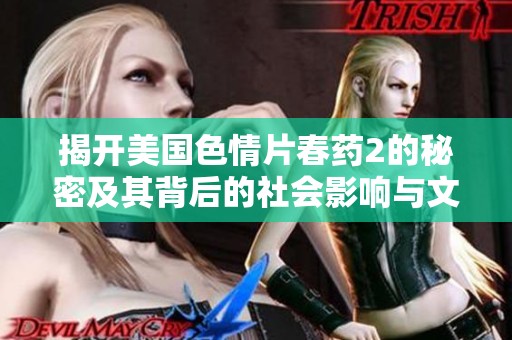 揭开美国色情片春药2的秘密及其背后的社会影响与文化现象