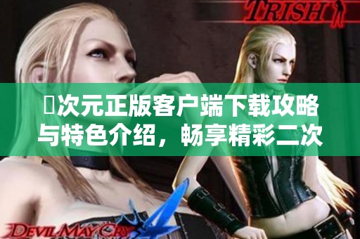 囧次元正版客户端下载攻略与特色介绍，畅享精彩二次元世界体验
