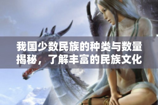 我国少数民族的种类与数量揭秘，了解丰富的民族文化背景